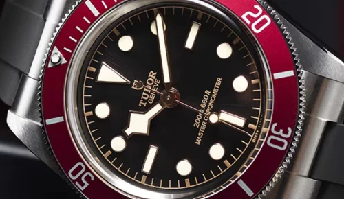 Tudor Black Bay cover