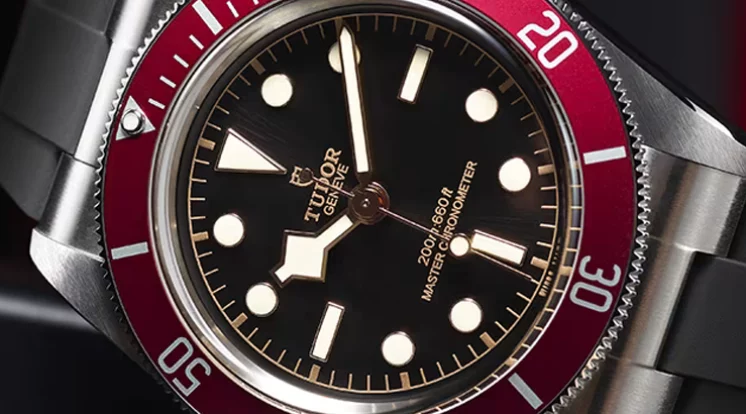 Tudor Black Bay cover